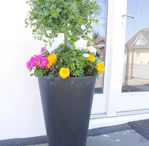 לינה וארוחת בוקר Coco Aps 3*