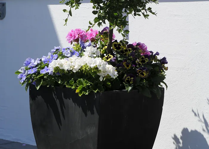 Coco Aps 3* אסביירג